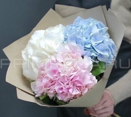 Monobucket of 3 hydrangeas #G8844