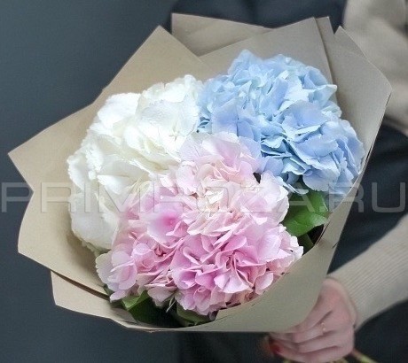 Monobucket of 3 hydrangeas #G8844 Flowers delivery Vladivostok