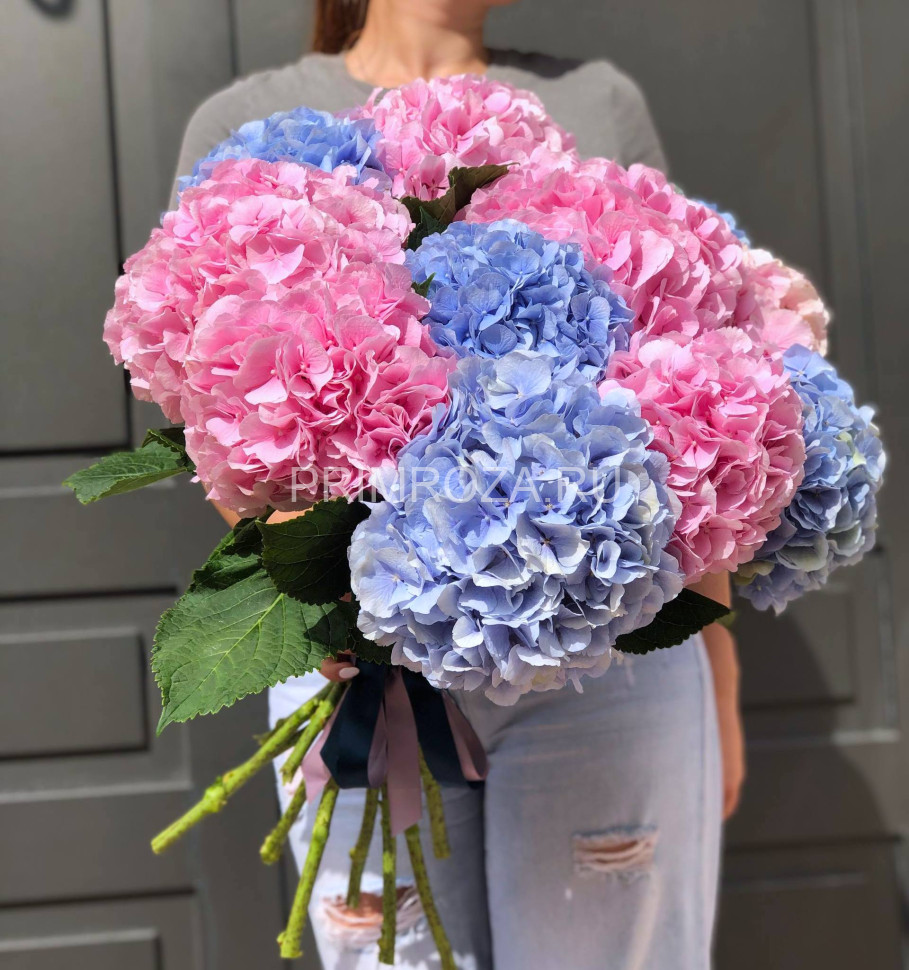 Монобукет из 11 гортензий #G0011 Flowers delivery Vladivostok