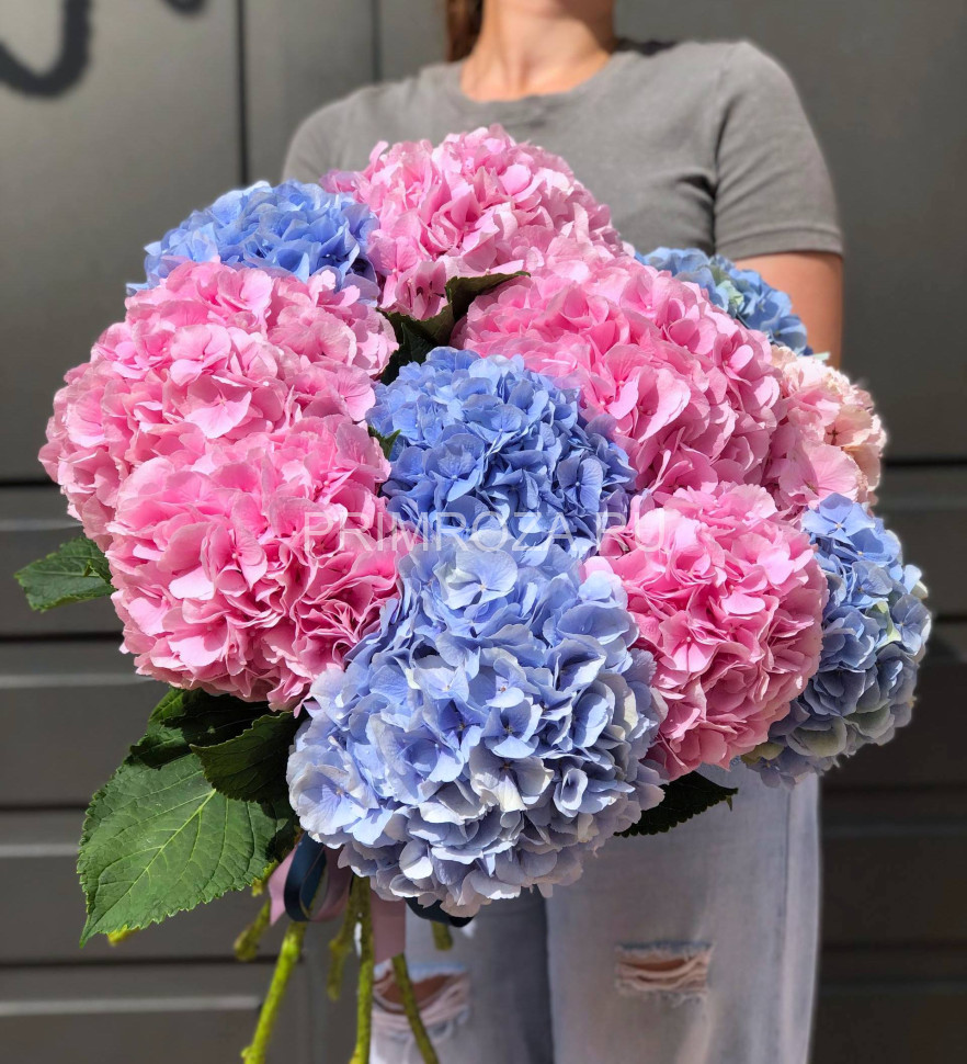 Монобукет из 11 гортензий #G0011 Flowers delivery Vladivostok