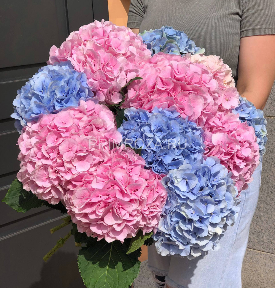 Монобукет из 11 гортензий #G0011 Flowers delivery Vladivostok