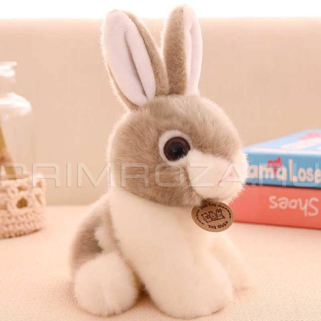 Fluffy Rabbit 
