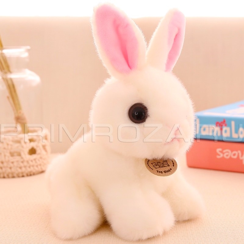 Fluffy Rabbit  Flowers delivery Vladivostok