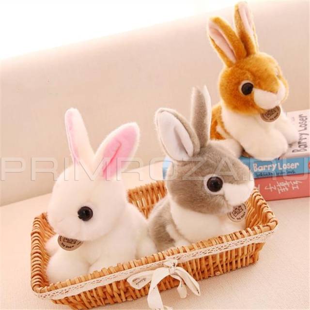 Fluffy Rabbit 