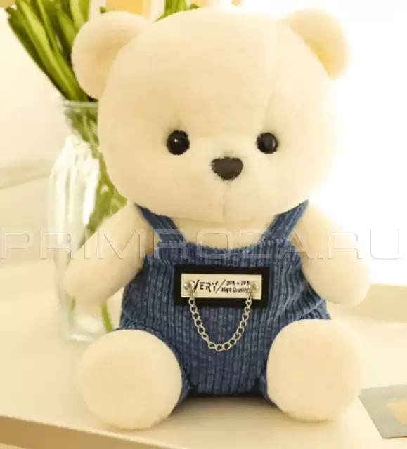 Teddy bear in overalls 