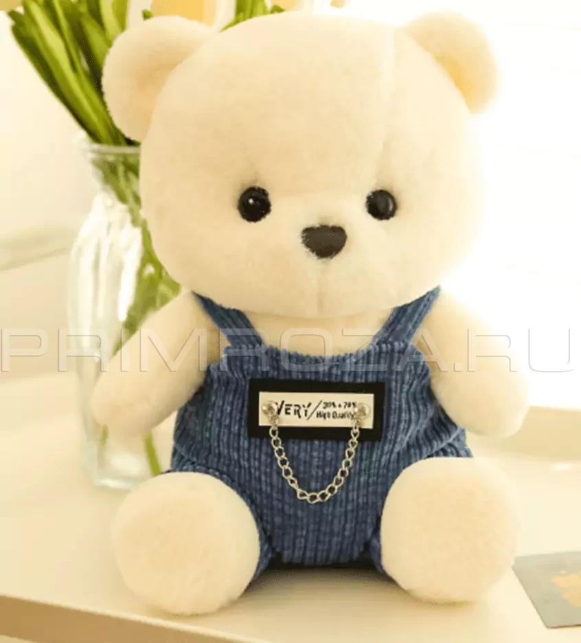 Teddy bear in overalls  Flowers delivery Vladivostok