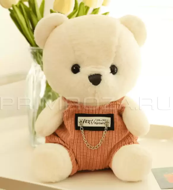Teddy bear in overalls 