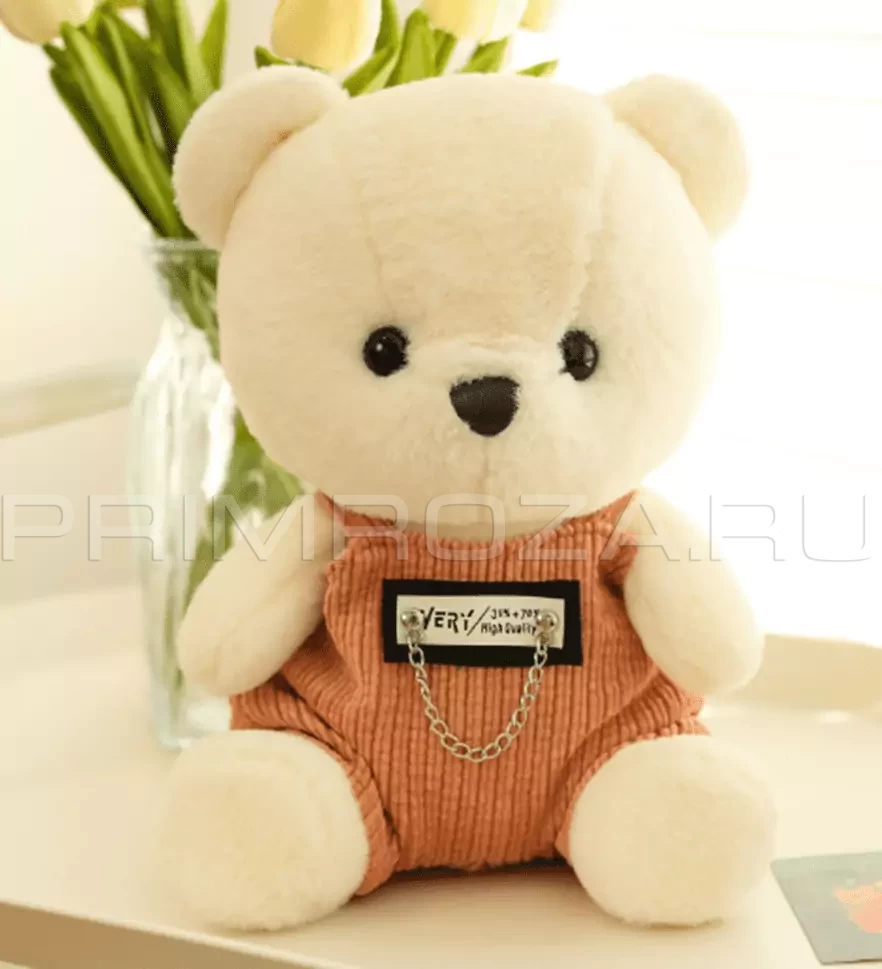 Teddy bear in overalls  Flowers delivery Vladivostok