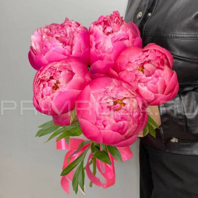 Monobook of 5 peonies 