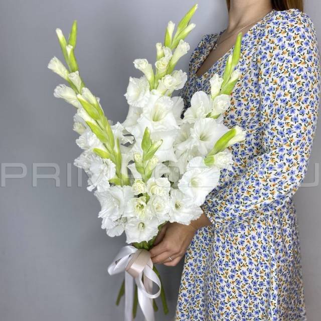 Monobucket of 7 gladioli with ribbon #G6495