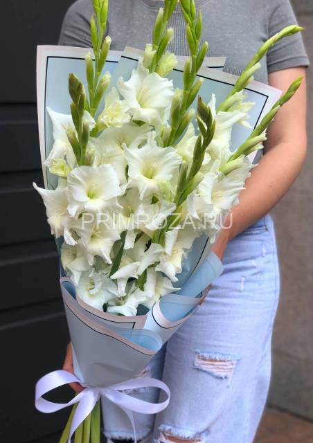 Monobook made of gladioli in a package #G4384