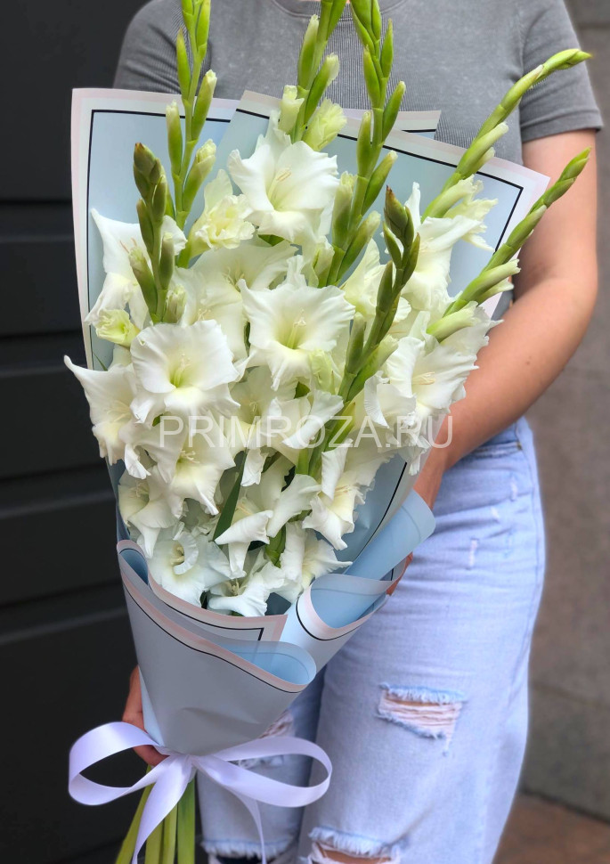 Monobook made of gladioli in a package #G4384 Flowers delivery Vladivostok