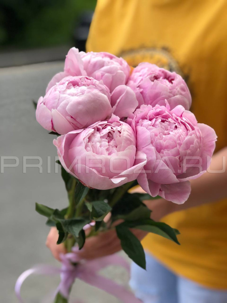 Букет из 5 пионов Сара Бернар Flowers delivery Vladivostok