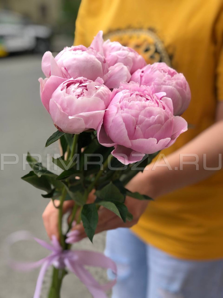 Букет из 5 пионов Сара Бернар Flowers delivery Vladivostok