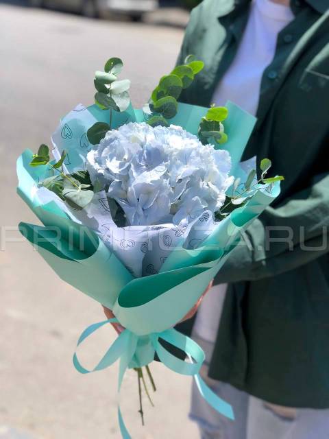 Compliment bouquet with hydrangea #G826