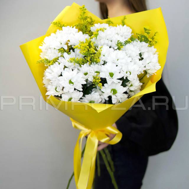  Bouquet of chrysanthemums #H0512