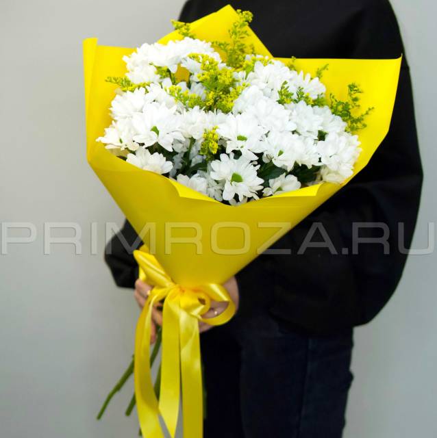  Bouquet of chrysanthemums #H0512