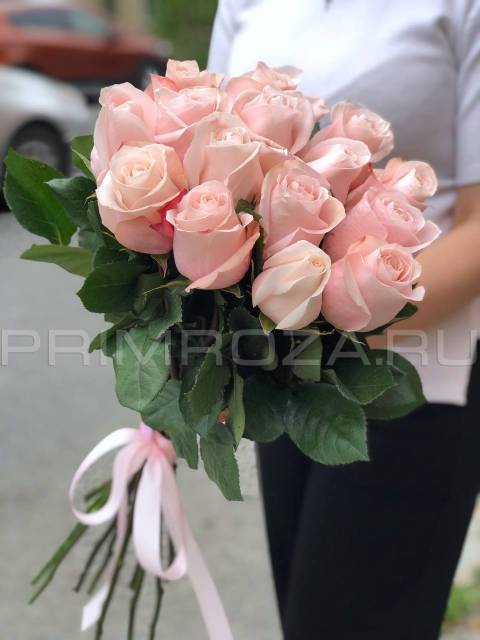 Нежно розовые розы Эквадор#R4544 