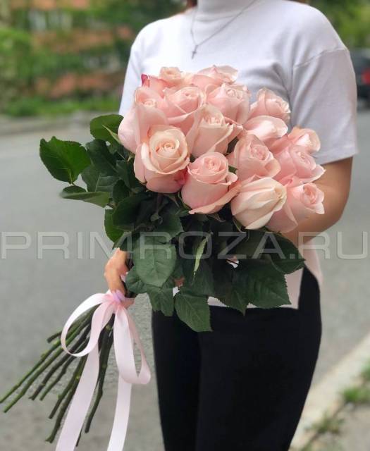 Нежно розовые розы Эквадор#R4544 