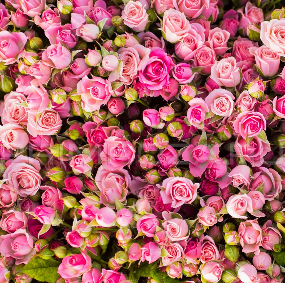 INDIVIDUAL BOUQUET #DM101  Flowers delivery Vladivostok
