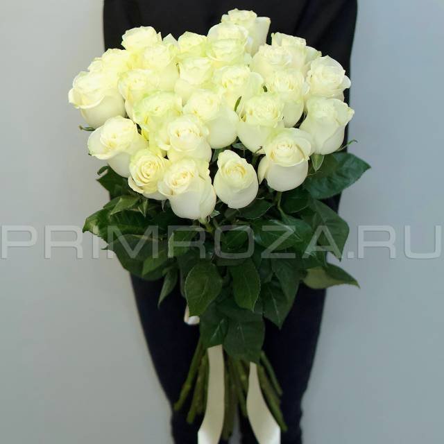 25 tall snow-white roses #DM14