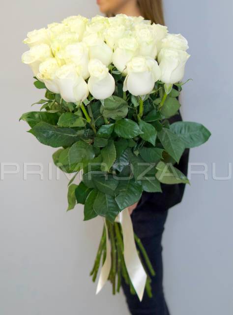 25 tall snow-white roses #DM14