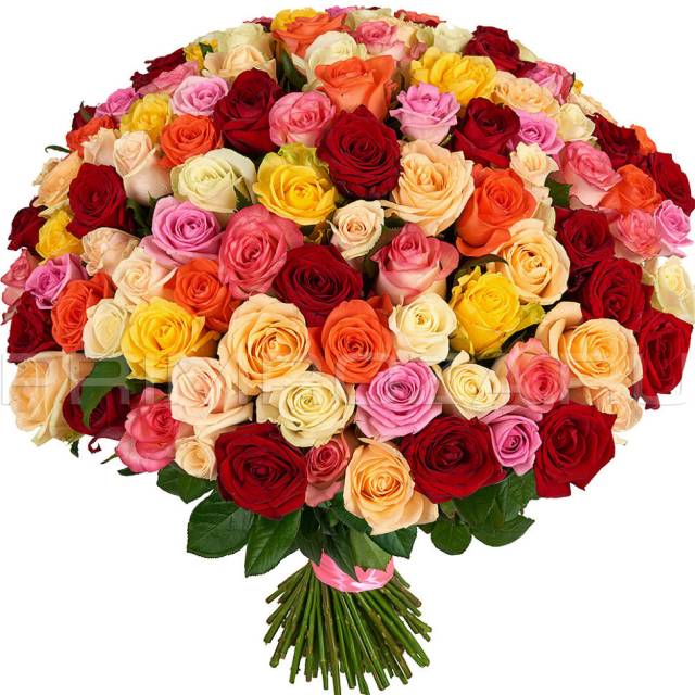 A bouquet of 51 white roses #SR05