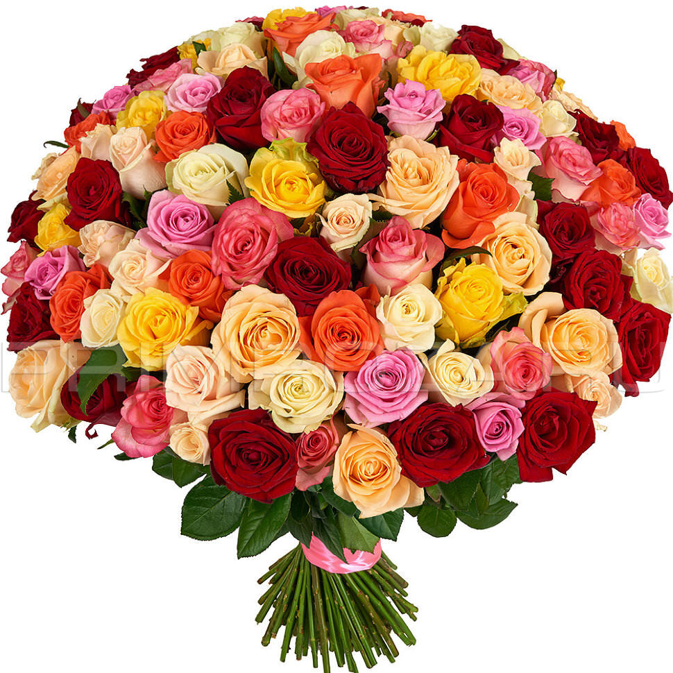 A bouquet of 51 white roses #SR05 Flowers delivery Vladivostok