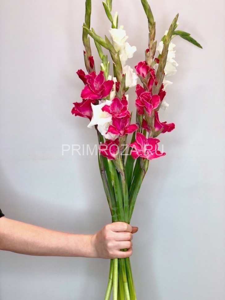 Букет разноцветных гладиолусов  Flowers delivery Vladivostok