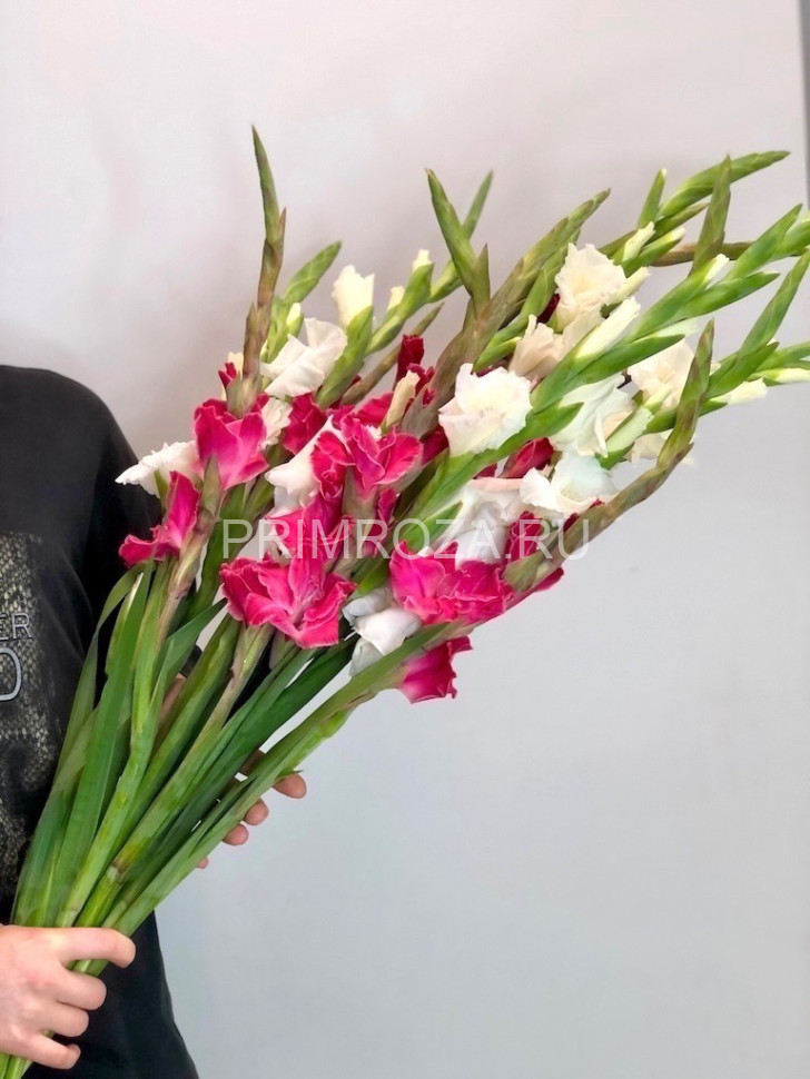 Букет разноцветных гладиолусов  Flowers delivery Vladivostok