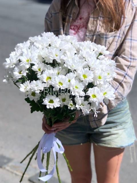  Bouquet of white chrysanthemums #H1318