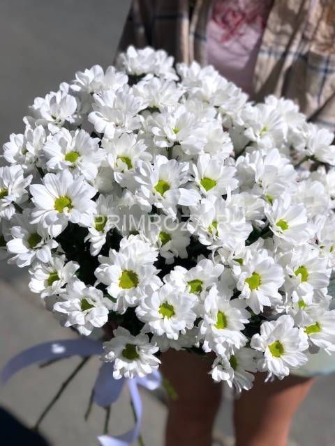  Bouquet of white chrysanthemums #H1318