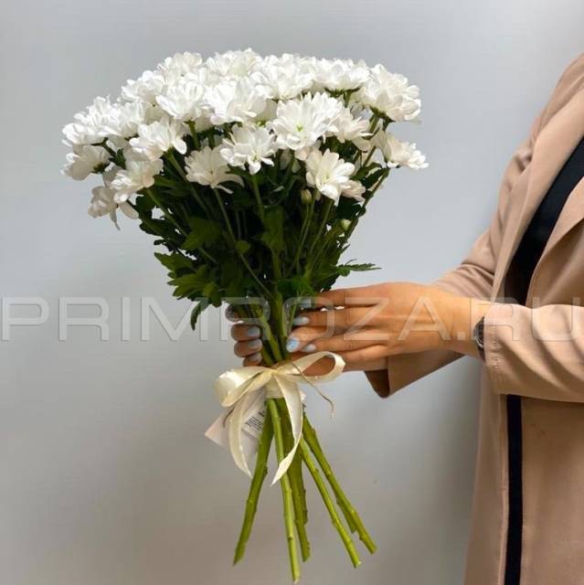  Bouquet of white chrysanthemums #H1318