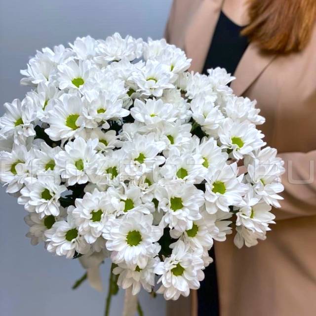  Bouquet of white chrysanthemums #H1318