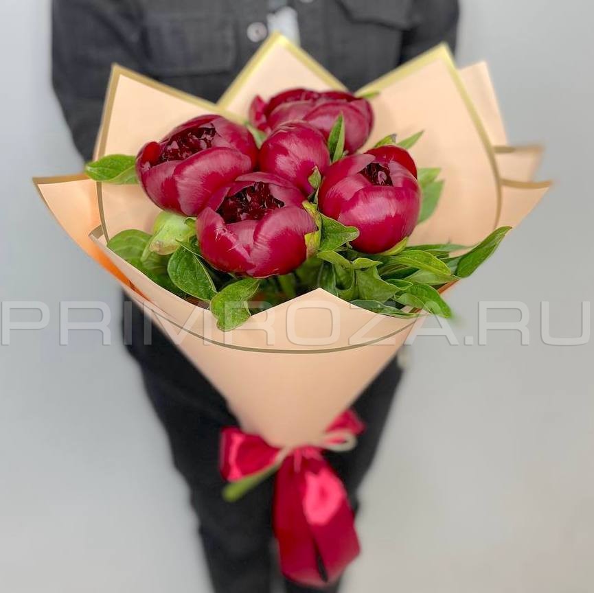 Monobook of 5 peonies #P4353 Flowers delivery Vladivostok