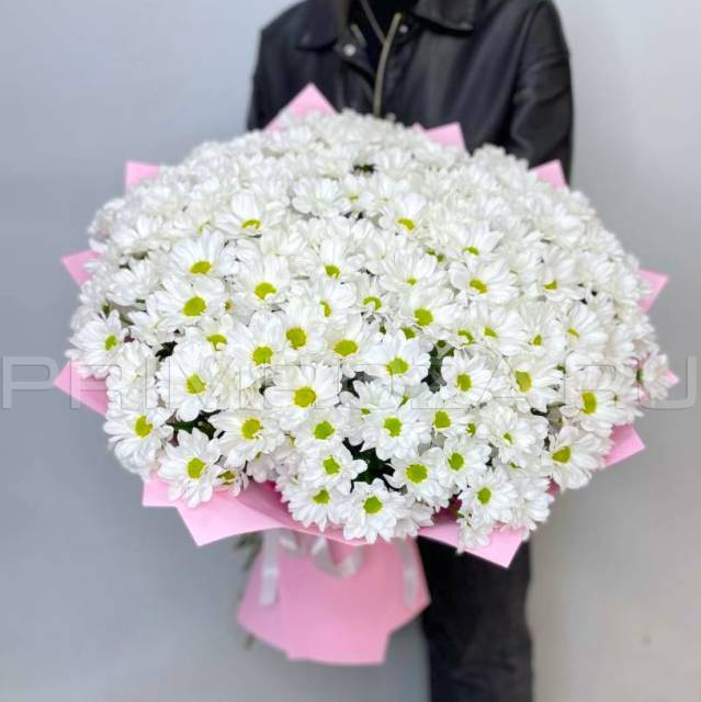 Bouquet of white chrysanthemums #H6878