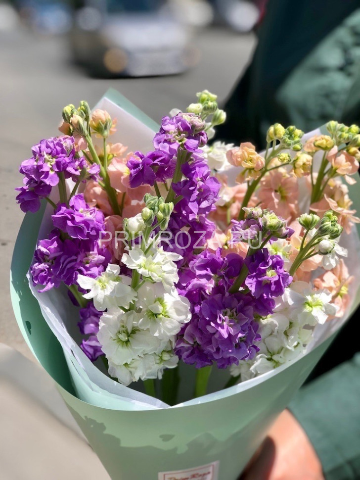 Букет ароматных маттиол  Flowers delivery Vladivostok